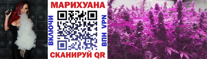 Купить наркотик Западная Двина Марихуана  Галлюциногенные грибы  ссылка на мегу ONION  Меф мяу мяу  МЕТАМФЕТАМИН  СОЛЬ  Cocaine  Гашиш 