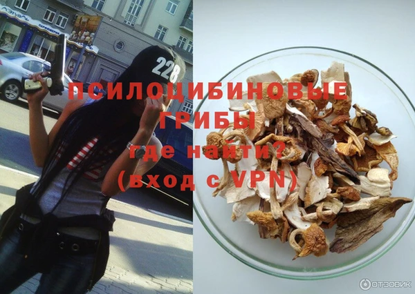 твердый Алексин