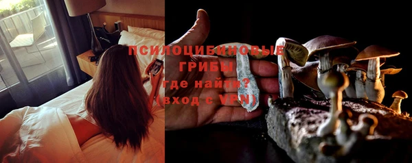 гашик Алзамай