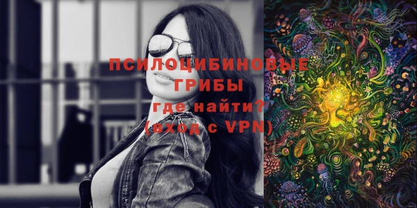 гидра Протвино