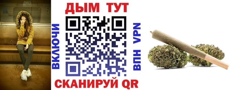 где купить наркотик  Западная Двина  Конопля индика 